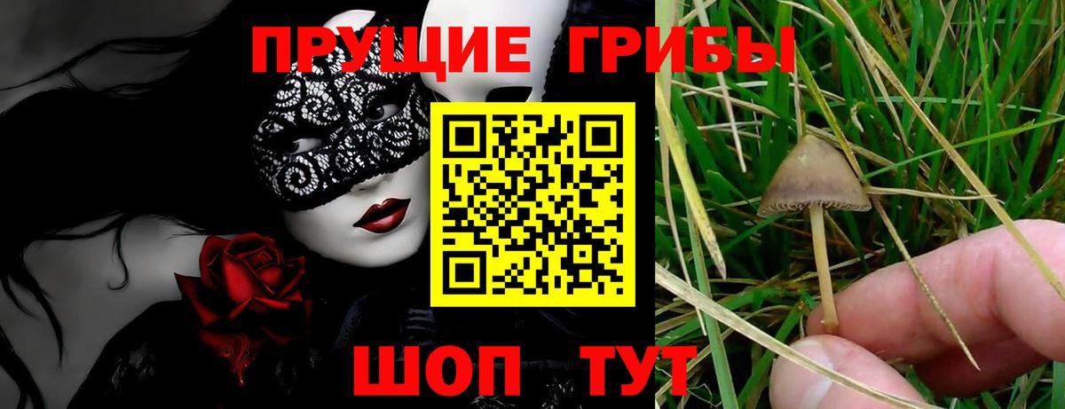 Галлюциногенные грибы мицелий  Псилоцибиновые грибы Psilocybine cubensis  Вход с VPN  Улан-Удэ 